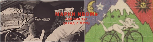 стафф Бронницы
