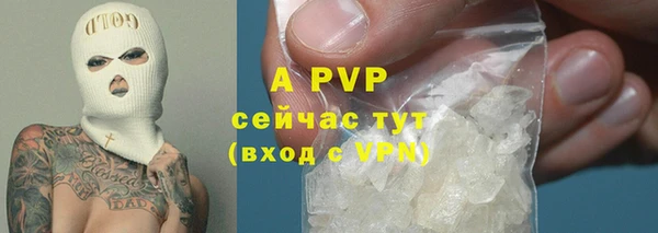стафф Бронницы