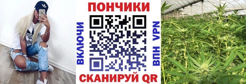 Бошки марихуана Ganja Могоча
